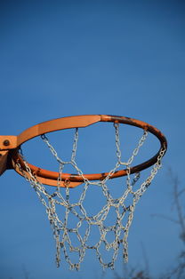 开云体育-NBA球员体能训练计划设计与效果评估，nba球员的体能训练