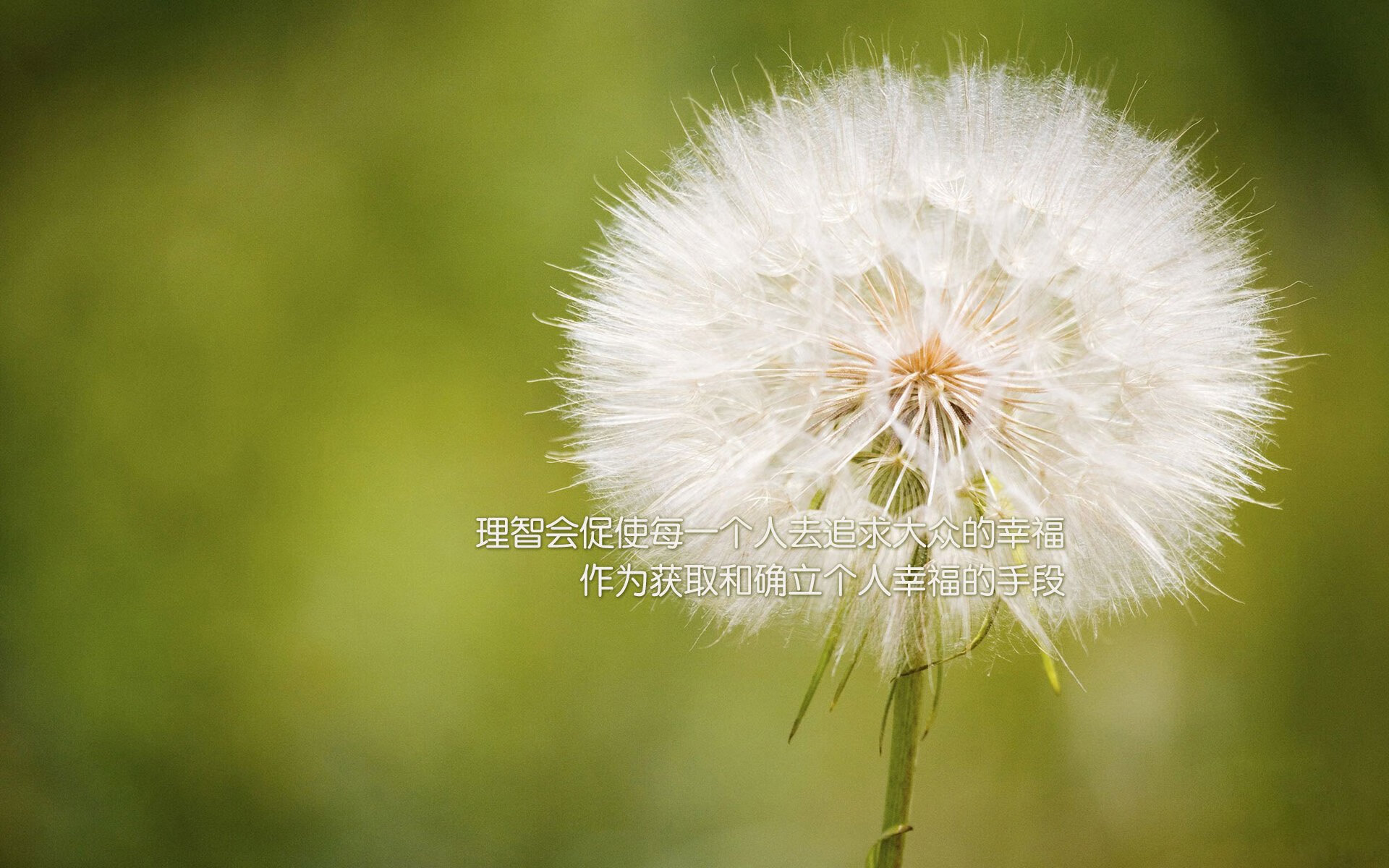 三年划水幅度：中方略增，美方略降