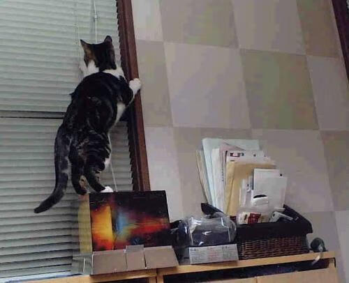 五大联赛阵容灵活度与替补席战力提升机制,五大联赛强度