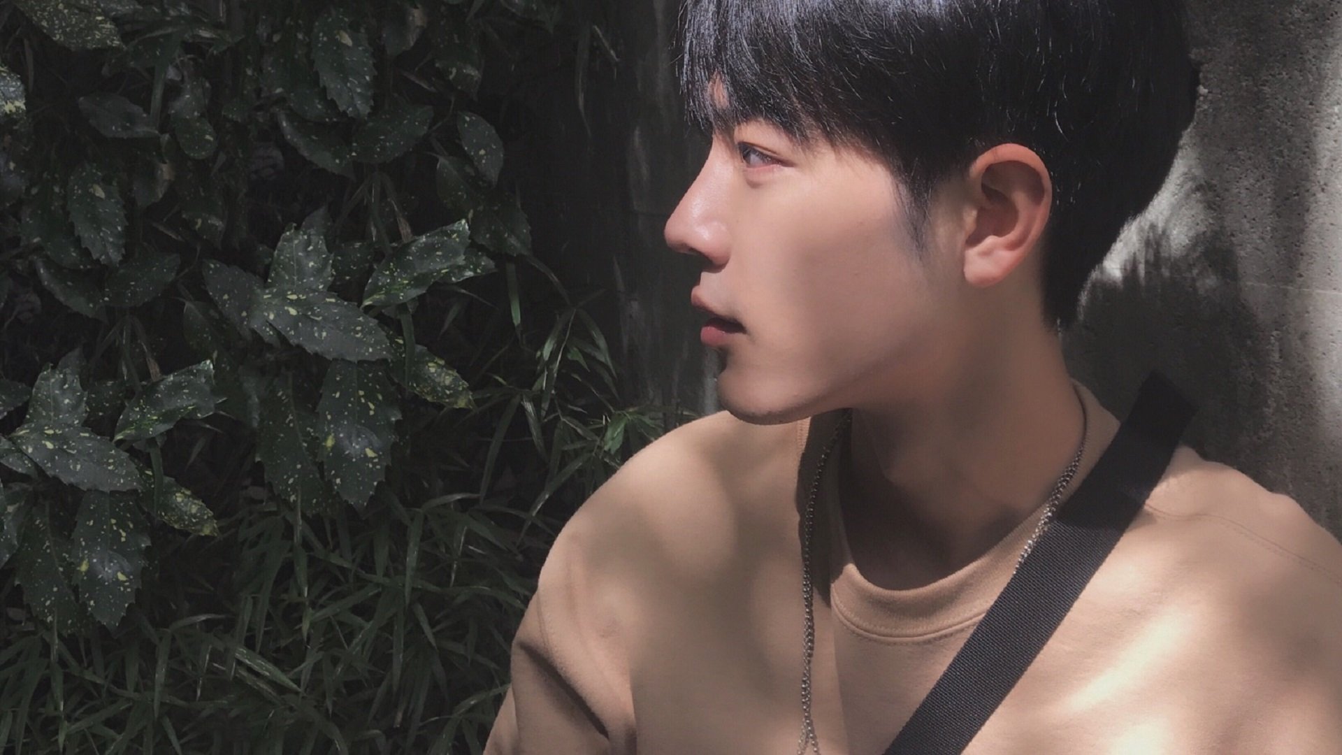 日本花滑天才少女再创世界纪录,日本花滑特别强化选手