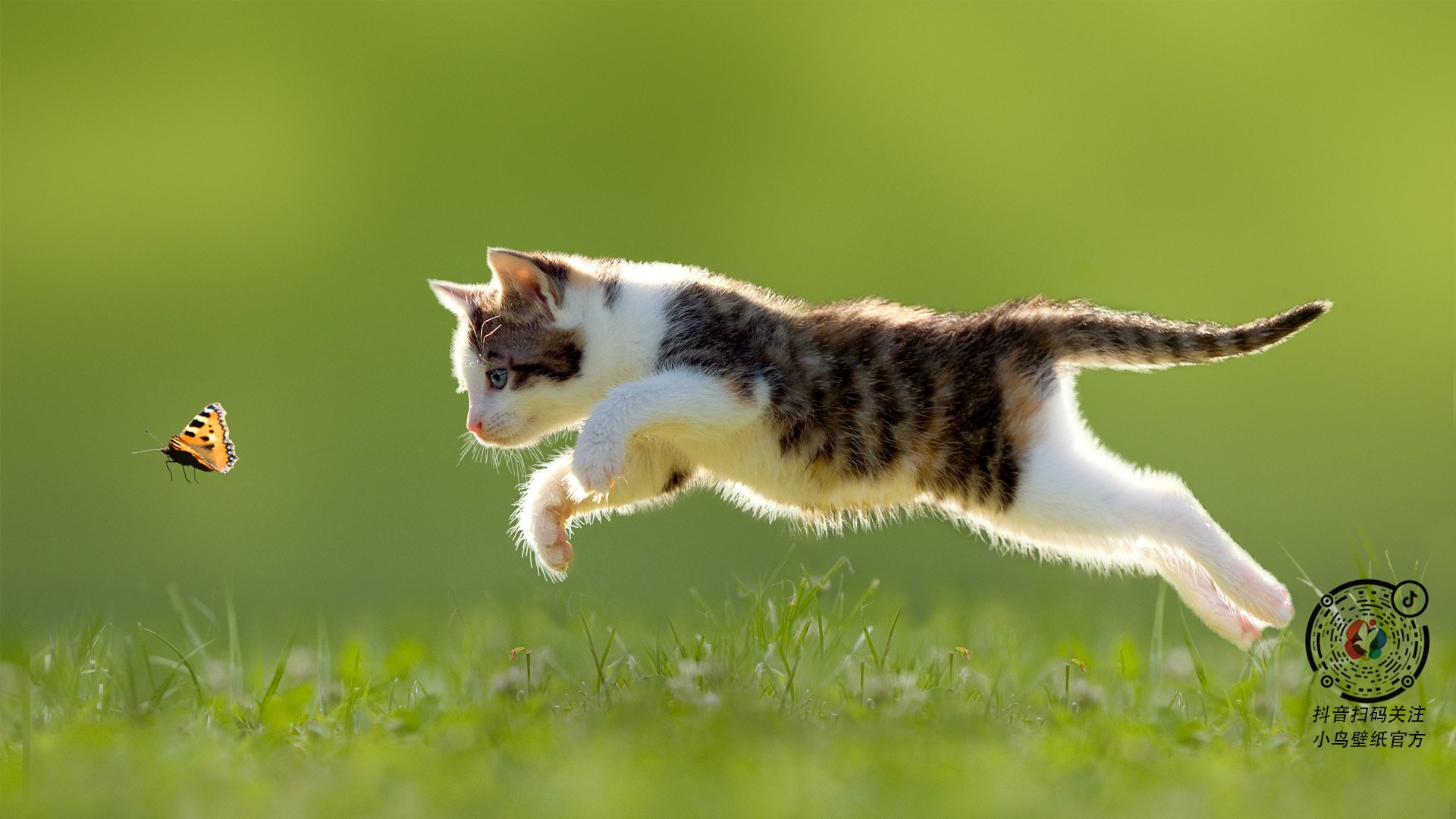 田径队康复训练方案科学有效，田径队恢复性训练