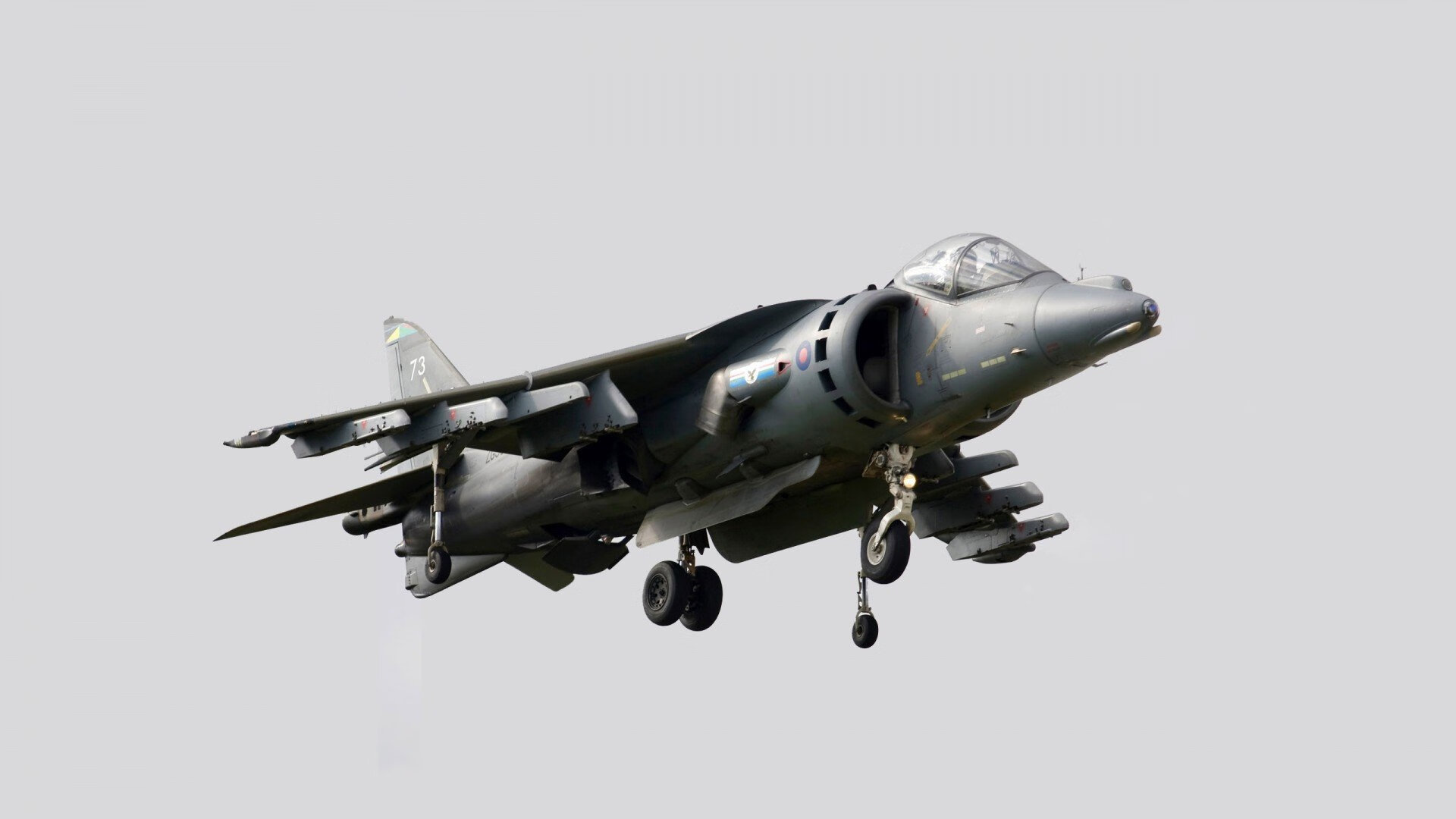 开云体育登陆入口-“马科斯·莫奇的强力防守与战术执行力，帮助美洲狮队在全球赛场占得先机”