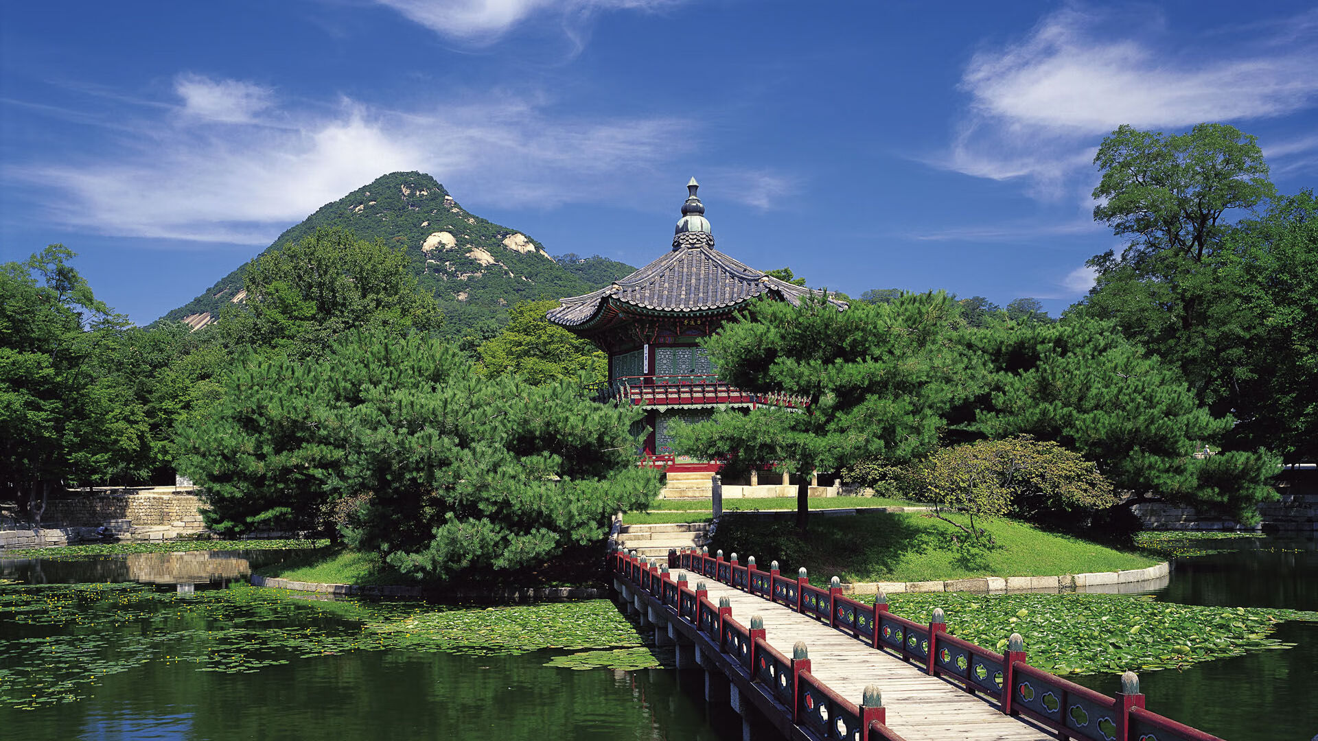 开yun体育-中国足球职业俱乐部转会政策调整优化，中国足球协会球员身份及转会暂行规定