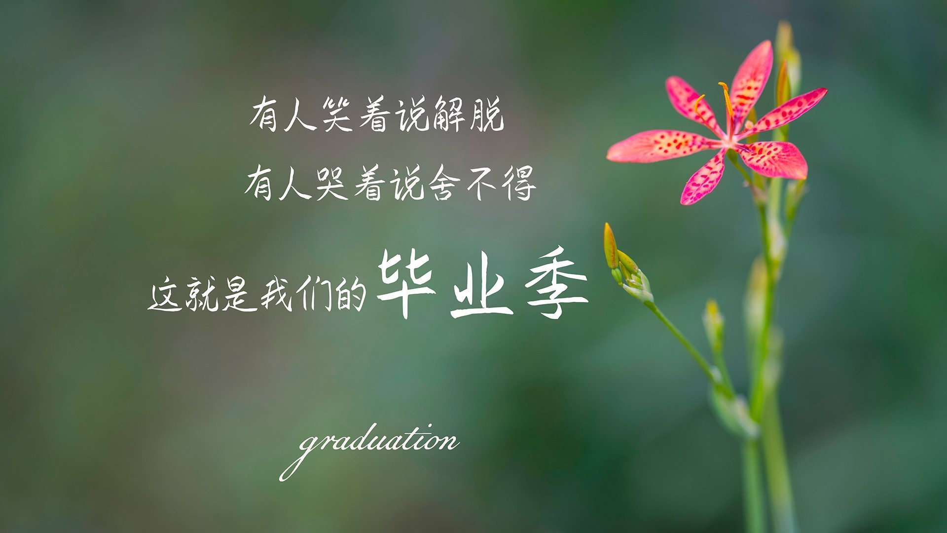 Kaiyun官方登录入口-国际篮联与教育机构联合推出教练认证课程，国际篮球训练师证书